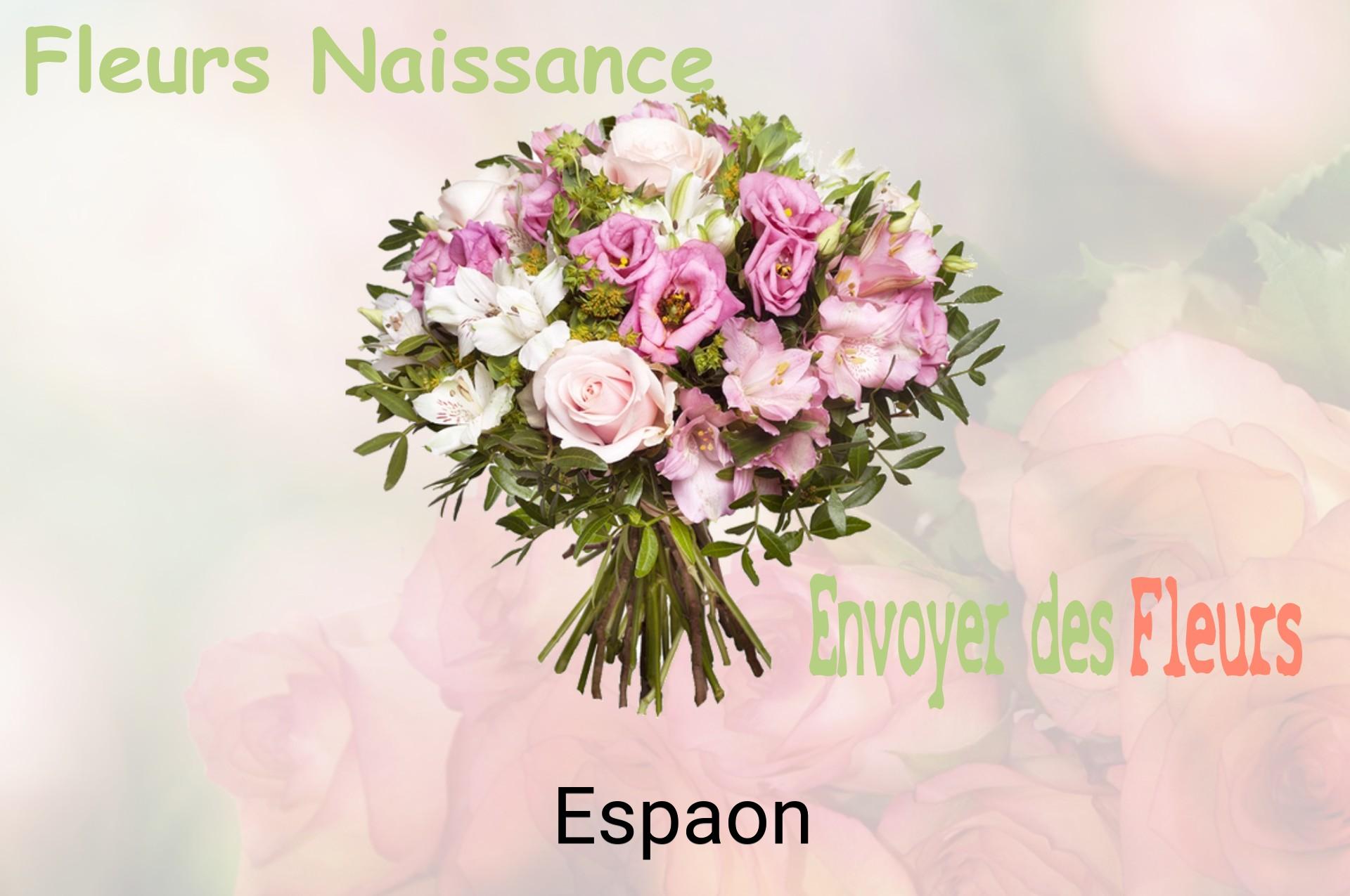 Bouquet de fleurs de naissance livré à Espaon